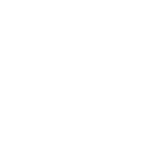 Alt Icon Success